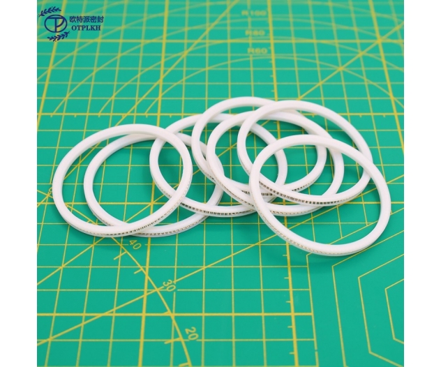End face external seal PTFE spring seals Mechanical seals OTPLKH Non-standard parts shaped parts Factory customized