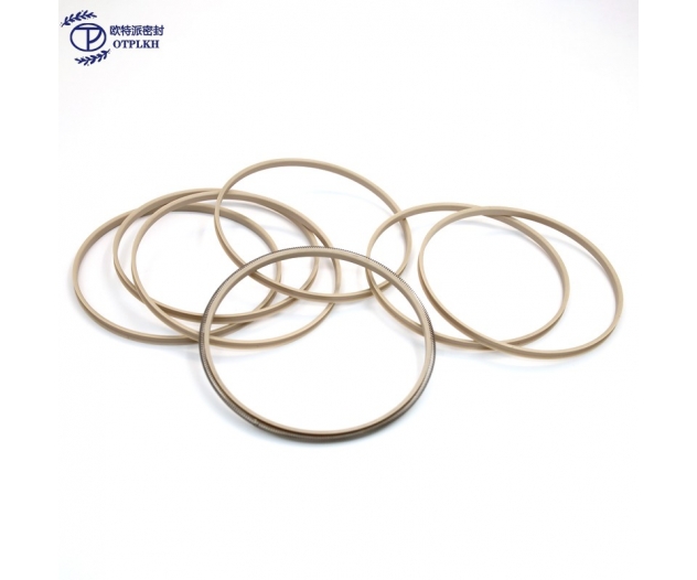 End face external seals polyetheretherketone PEEK Spring seals V-shaped springs Non-standard parts Shaped parts Factory customized