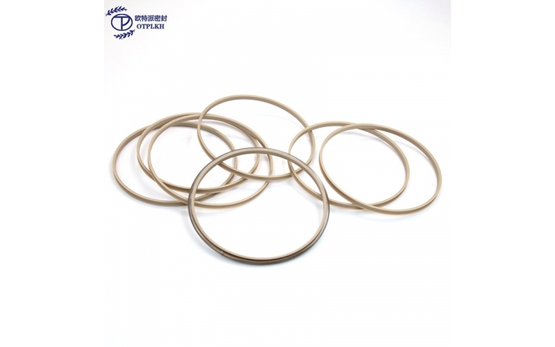 End face external seals polyetheretherketone PEEK Spring seals V-shaped springs Non-standard parts Shaped parts Factory customized